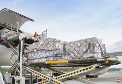 Korean Air partners with Swissport on air cargo at New York JFK